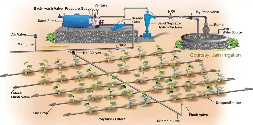 Drip Irrigation process - organic monk