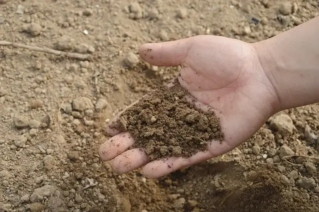 Importance Of Soil Health & Soil Improvement in Agriculture