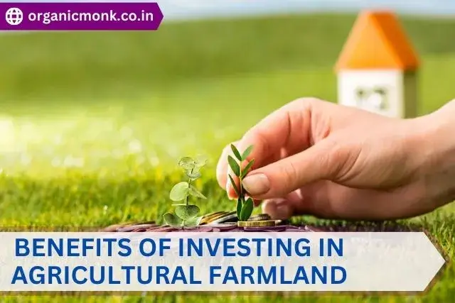 Benefits of Investing in Agricultural Farmland - organic monk