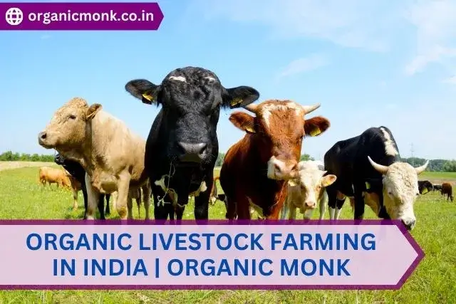 Organic Livestock Farming - organic monk