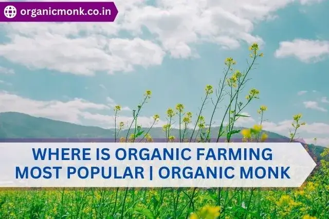 Where Is Organic Farming Most Popular - organic monk