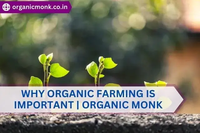 Why organic farming is important - organic monk