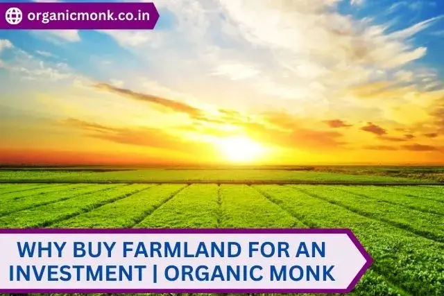 Farmland for an Investment - organic monk