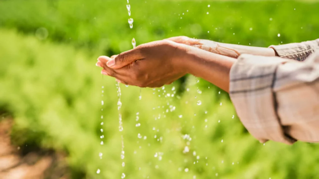 Top Water Management Techniques for Agricultural Land