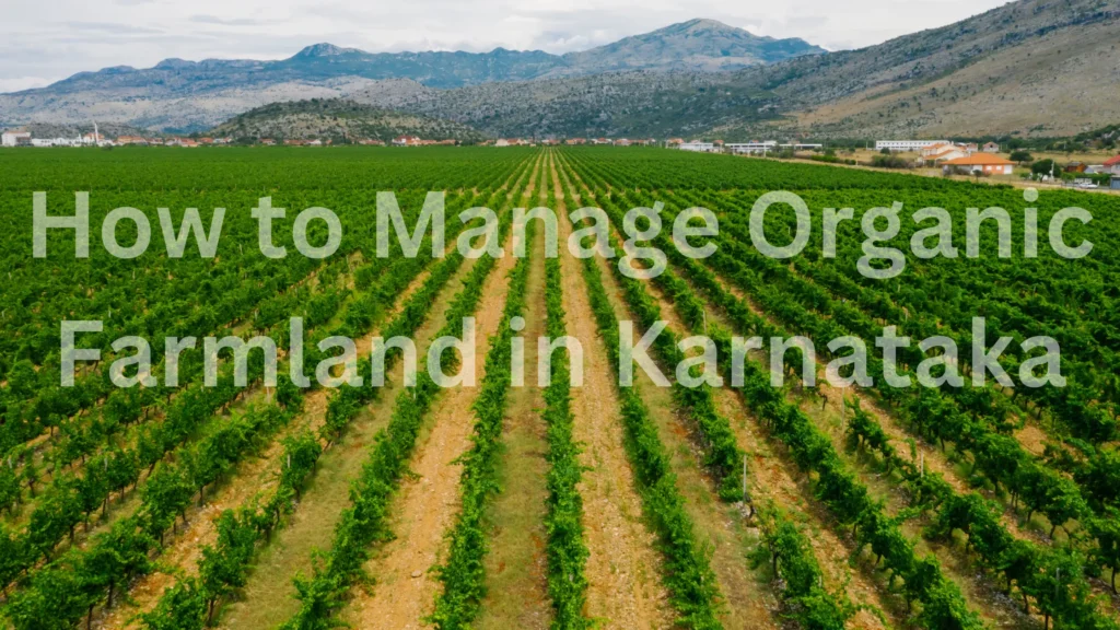 How to Manage Organic Farmland in Karnataka