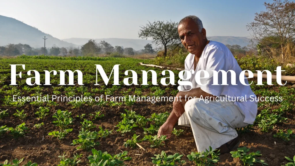 Farm Management | Agriculture Success