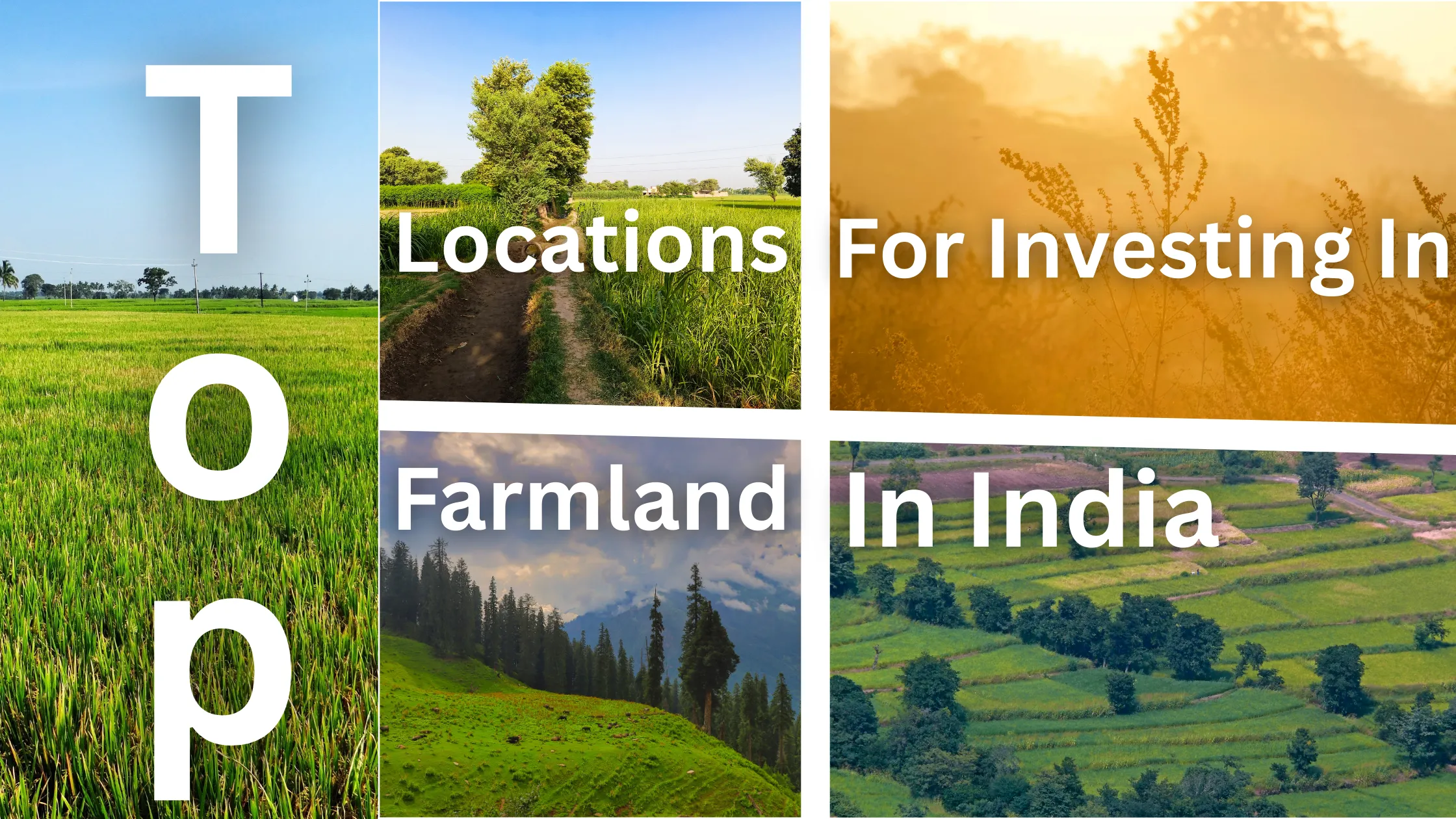 Top Locations For Investing In Farmland In India