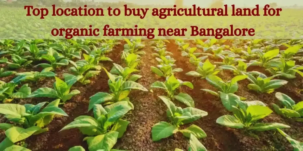 Best Location for organic farming in Bangalore