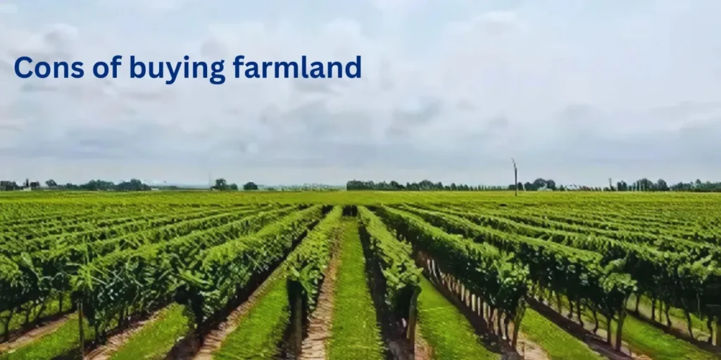 Cons Of Buying Farmland